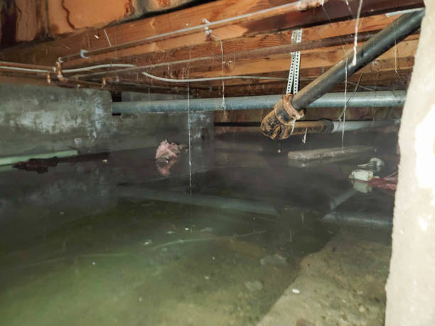 Local water damage restoration in Medicine Lodge, KS