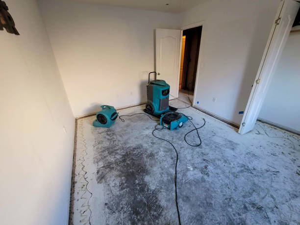 Best Flooded house restoration  in Medicine Lodge, KS