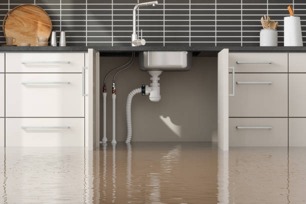 Best Flood restoration services  in Medicine Lodge, KS