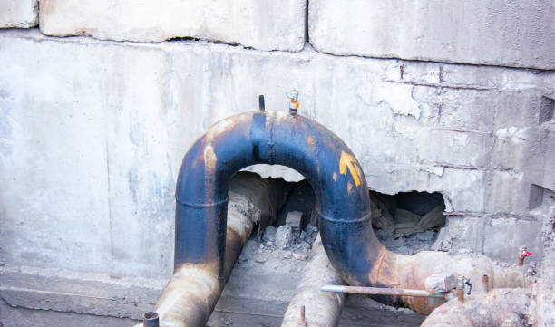 Best Mold removal after water damage  in Medicine Lodge, KS