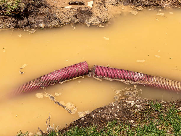 Reliable Medicine Lodge, KS Water damage restoration Solutions