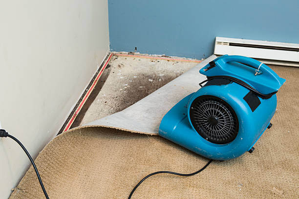 Best 24-hour water damage restoration  in Medicine Lodge, KS